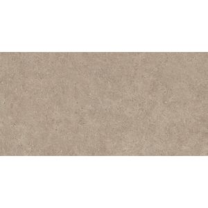 Boost Stone Clay Matt Sensitech 120x60 - 9 мм