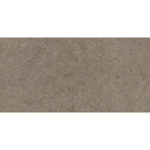 Boost Stone Taupe Matt Sensitech 120x60 - 9 мм
