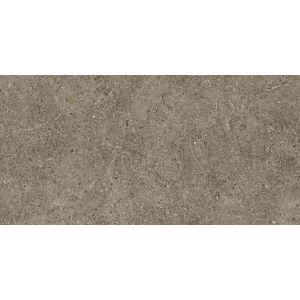 Boost Stone Taupe Matt Sensitech 60x30 - 9 мм
