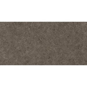 Boost Stone Tobacco Matt Sensitech 120x60 - 9 мм