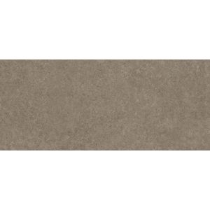 Boost Stone Taupe Matt 278x120 - 6 мм