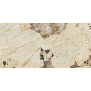 Marvel Gala Desert Soul Lappato 120x60 - 9 мм