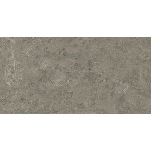 Marvel Meraviglia Grigio Elegante Lappato 150x75 - 9 мм