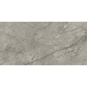 Marvel Meraviglia Silver Majestic Lappato 120x60 - 9 мм