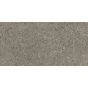 Marvel Meraviglia Grigio Elegante Lappato 240x120 - 9 мм