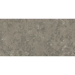 Marvel Meraviglia Grigio Elegante Lappato 60x30 - 9 мм
