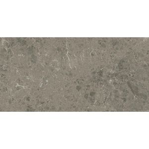 Marvel Meraviglia Grigio Elegante Matt Sensitech 60x30 - 9 мм