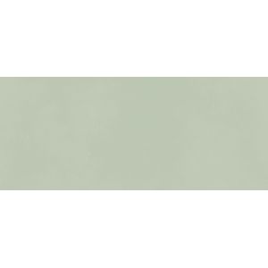 Boost Color Mint Matt 120x50 - 8.5 мм