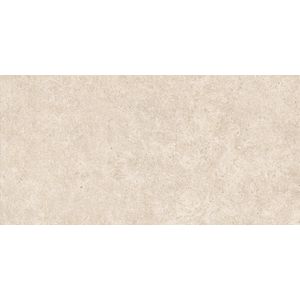 Boost Stone Ivory Matt Sensitech 120x60 - 6 мм