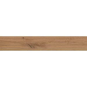 Log Deep Oak Forest Matt Sensitech 120x20 - 9 мм