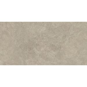 Boost Icor Oyster Matt Sensitech 120x60 - 9 мм