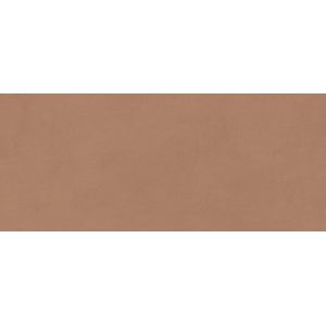 Boost Expression Sienna Matt 120x50 - 8.5 мм