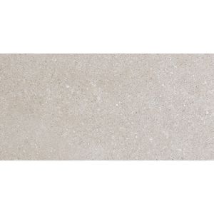 Kone Silver Matt Sensitech 60x30 - 9 мм