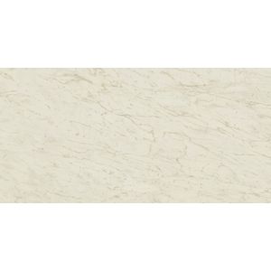 Marvel Pro Cremo Delicato Lappato 240x120 - 9 мм