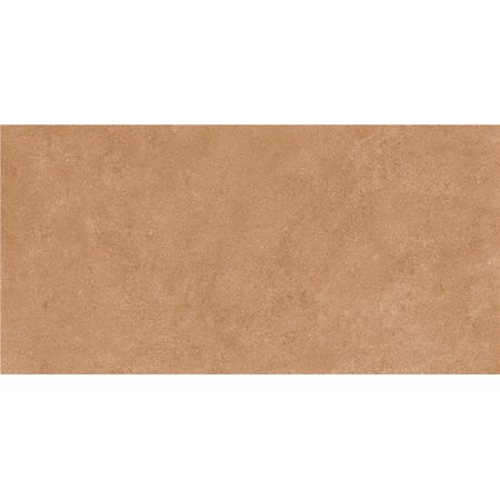 Detroit Cotto Mt 120x60 - 9 мм