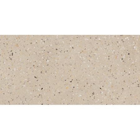Terrazzo Caribbean Reconcrete 12 SQ 119.7x60 - 8 мм