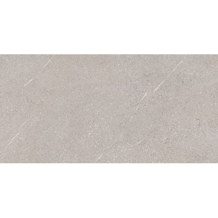 Piemonte Taupe NT M-101 120x60 - 9 мм